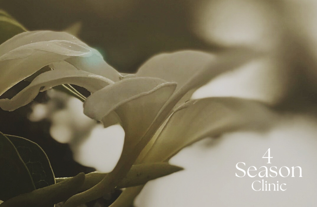 포시즌의원 진정케어