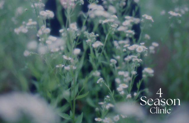 포시즌의원 재생케어