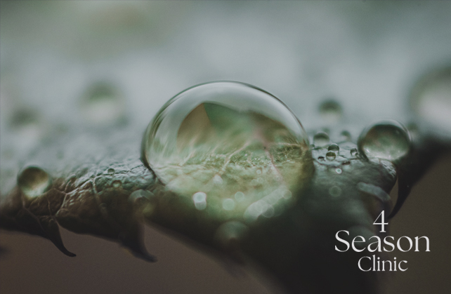 포시즌의원 브이라인