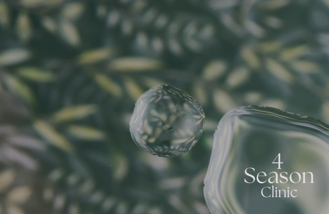 포시즌의원 제오민 (독일멀츠)