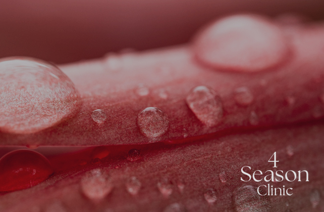 포시즌의원 진피 강화