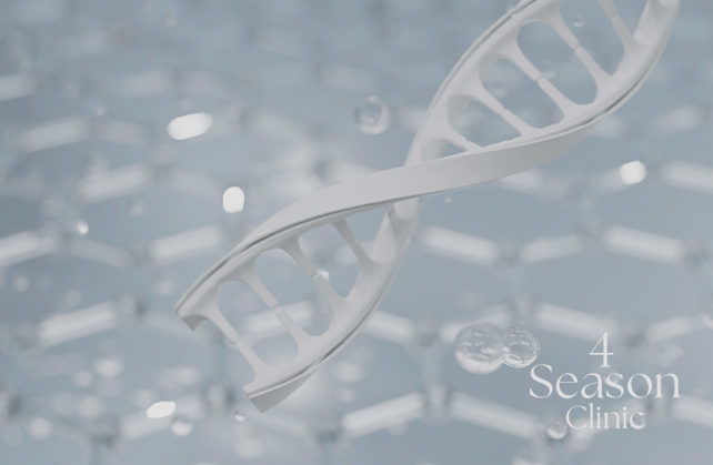 포시즌의원 주근깨 잡티 화이트닝 Basic 3